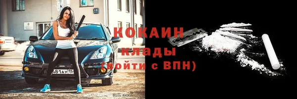 твердый Гусь-Хрустальный