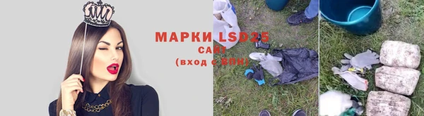 PSILOCYBIN Гусиноозёрск